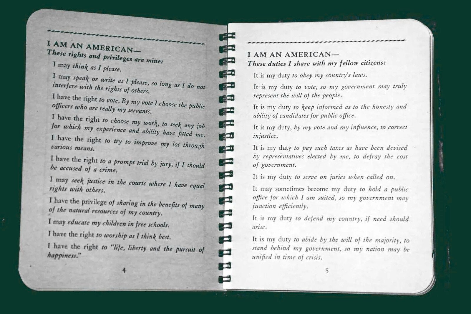 American Citizenship Rights and Duties Booklet – Legal Practice Areas in Alhambra and Los Angeles