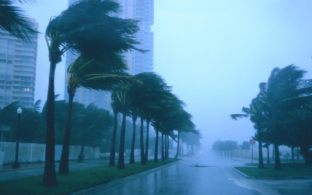 After the Storm: Slip and Fall Injuries in Local Grocery Stores and Shopping Centers